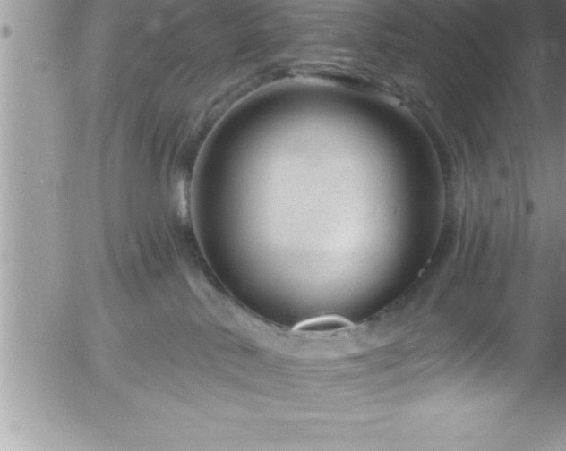 X0000058140042200509261323