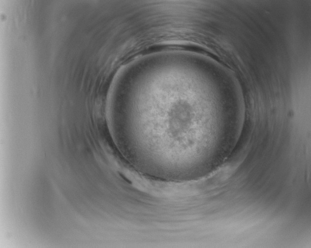 X0000058140044200509261323