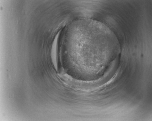 X0000058140045200509261323