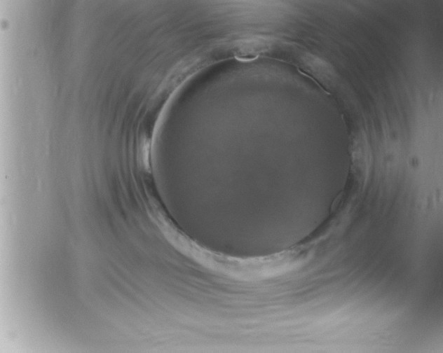 X0000058140046200509261323