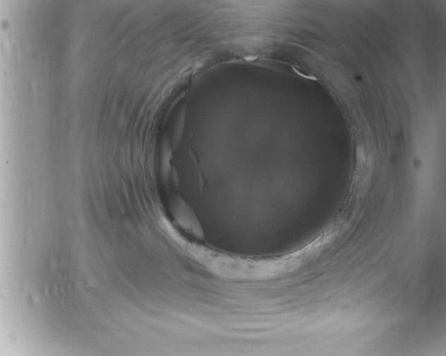 X0000058140048200509261323