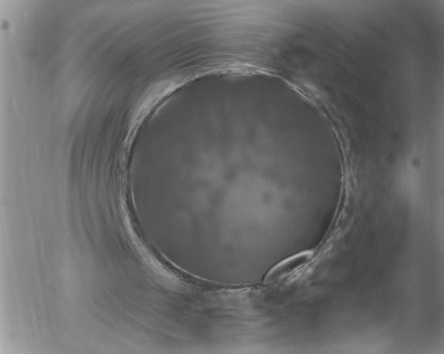 X0000058140049200509261322