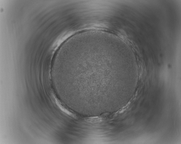 X0000058140050200509261322