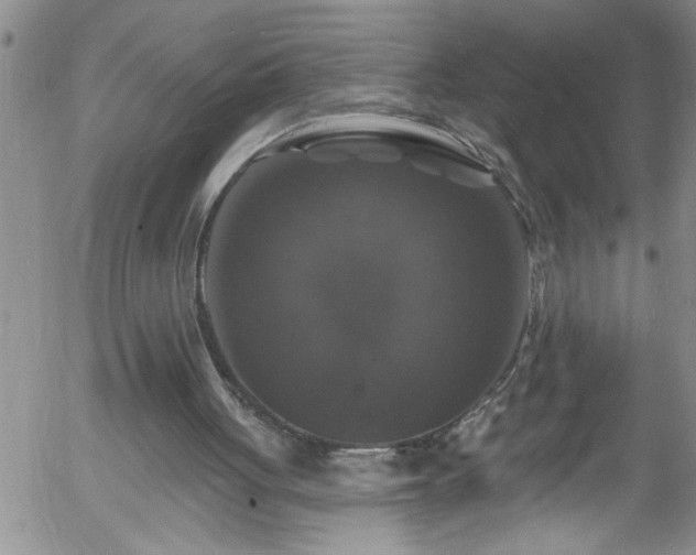 X0000058140051200509261322