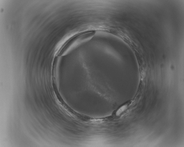 X0000058140052200509261322