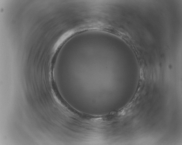 X0000058140054200509261322