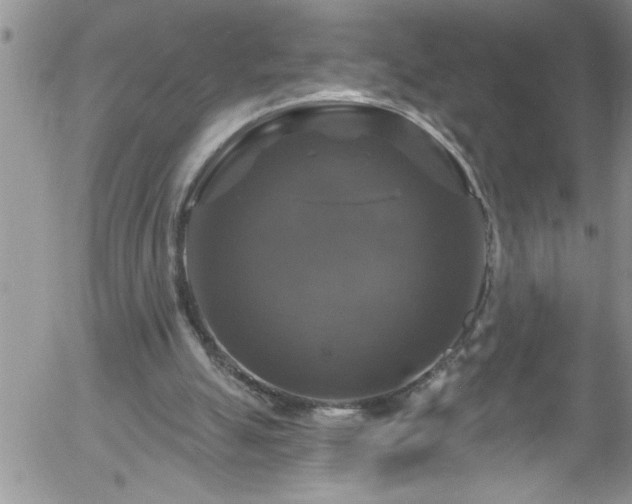 X0000058140055200509261322