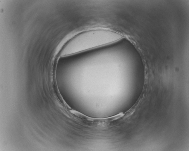 X0000058140056200509261322