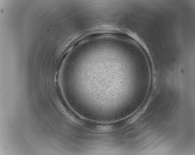 X0000058140057200509261322