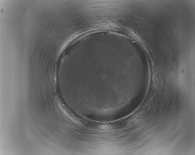 X0000058140059200509261322