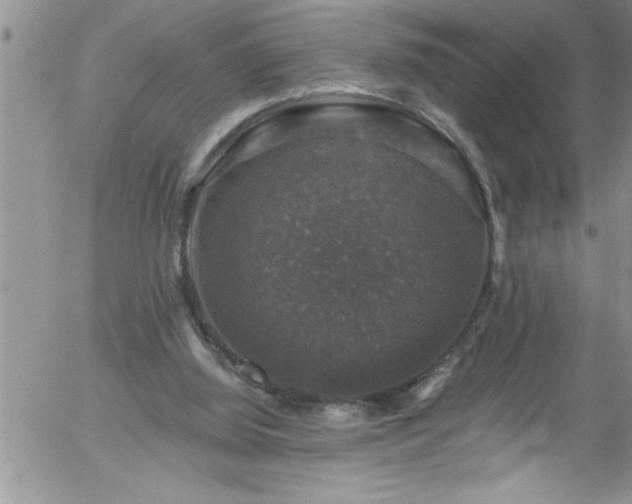 X0000058140060200509261322