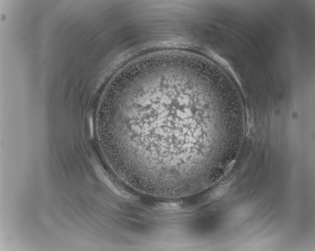 X0000058140061200509261322