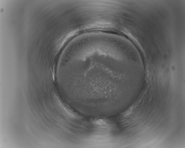 X0000058140062200509261322