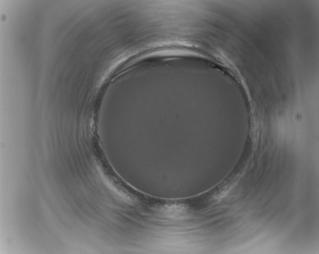 X0000058140063200509261322