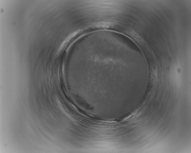 X0000058140064200509261322