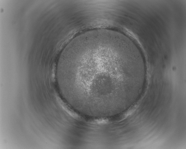 X0000058140065200509261322