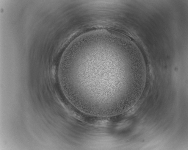 X0000058140066200509261322