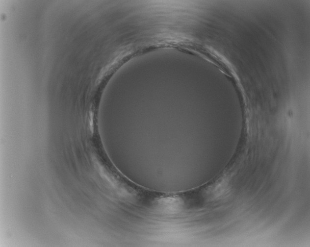 X0000058140067200509261323