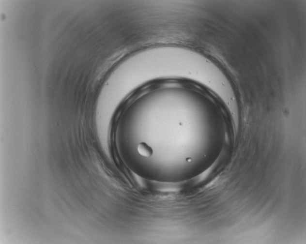 X0000058140068200509261323