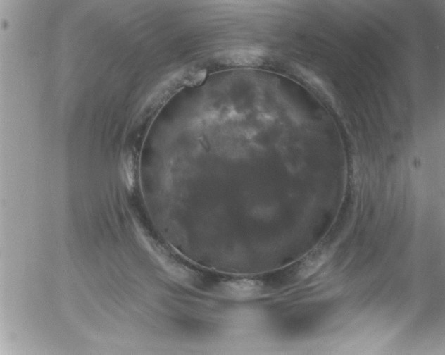 X0000058140069200509261323