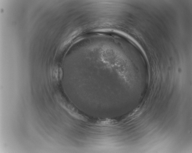 X0000058140072200509261323