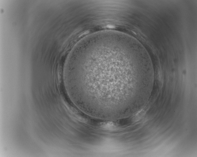 X0000058140074200509261323