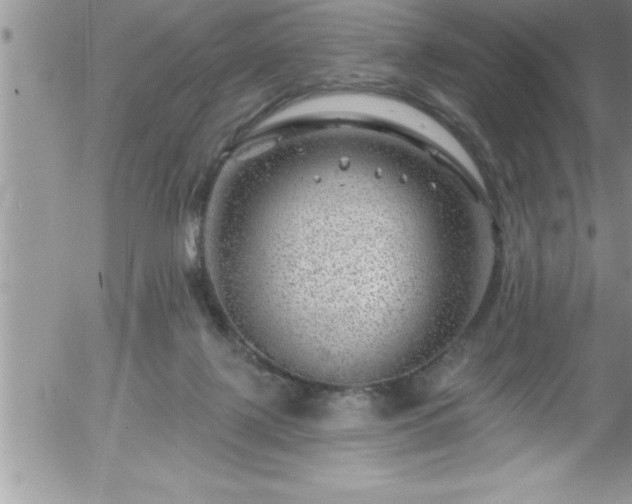 X0000058140075200509261323