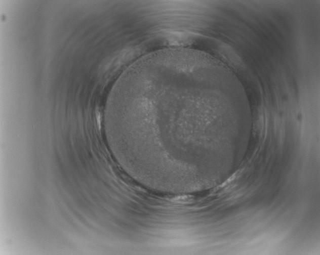 X0000058140078200509261323