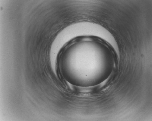 X0000058140080200509261323