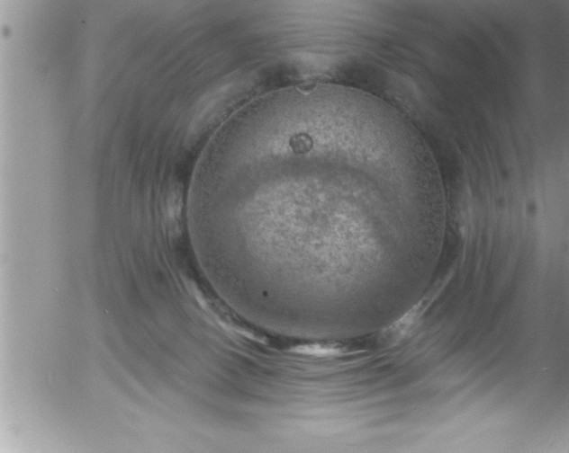 X0000058140082200509261323