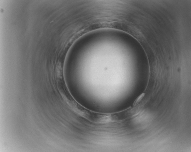 X0000058140083200509261323