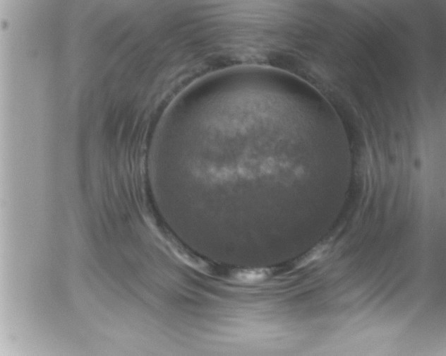 X0000058140084200509261323