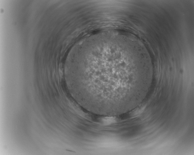 X0000058140085200509261323