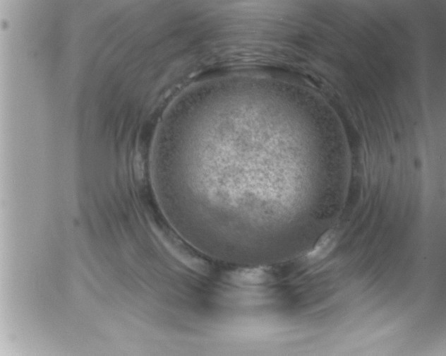 X0000058140086200509261323