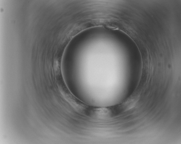 X0000058140087200509261323