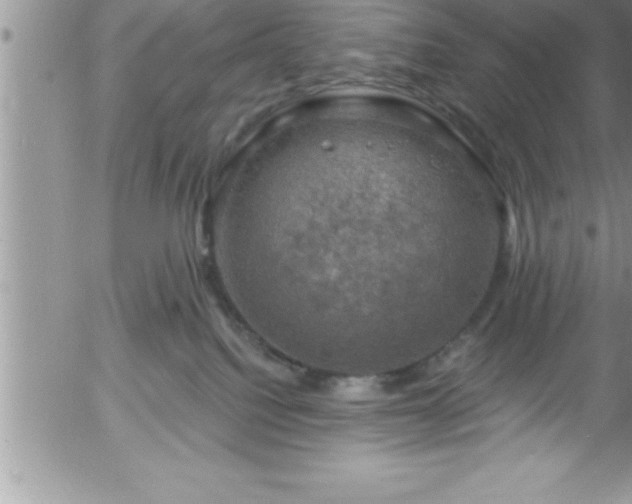 X0000058140088200509261323