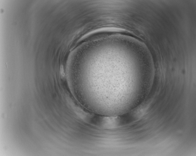 X0000058140089200509261323