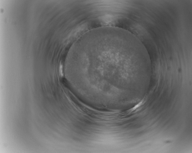 X0000058140090200509261323