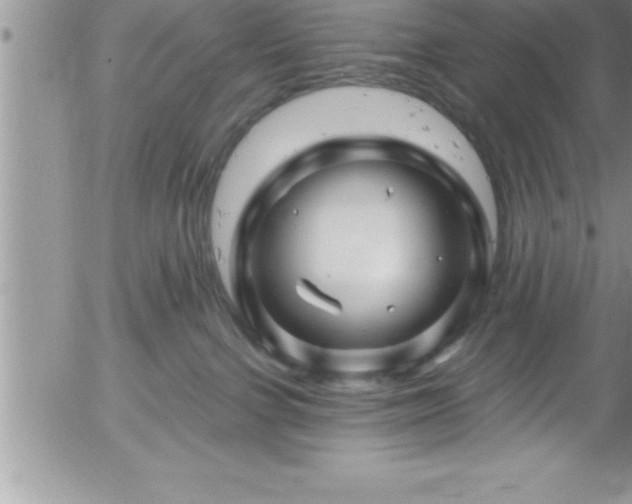 X0000058140091200509261323