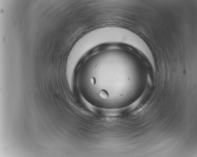 X0000058140092200509261323