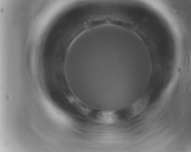 X0000058140093200509261323