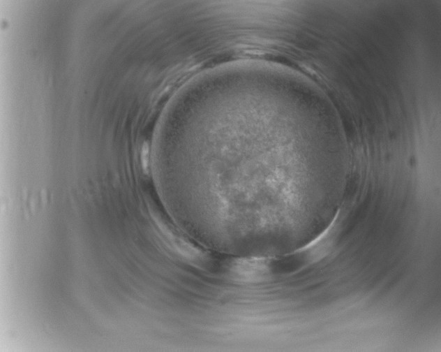 X0000058140094200509261323