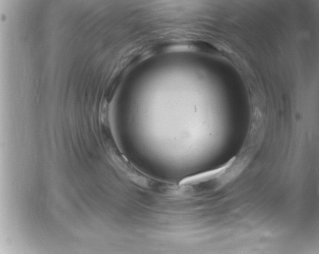 X0000058140096200509261323