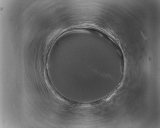 X0000058140097200509261322