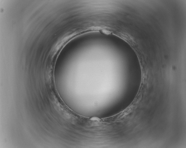 X0000058140098200509261322