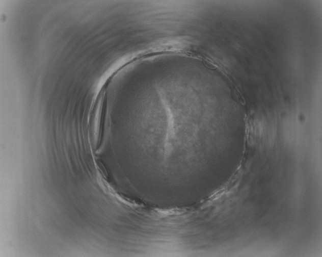 X0000058140100200509261322