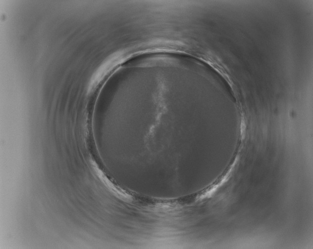 X0000058140101200509261322