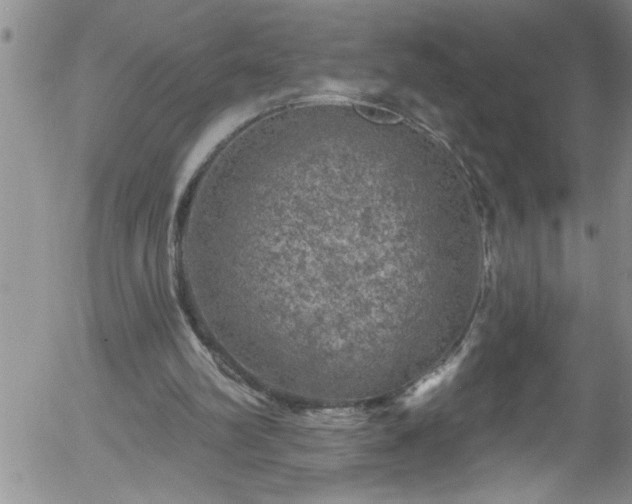 X0000058140102200509261322