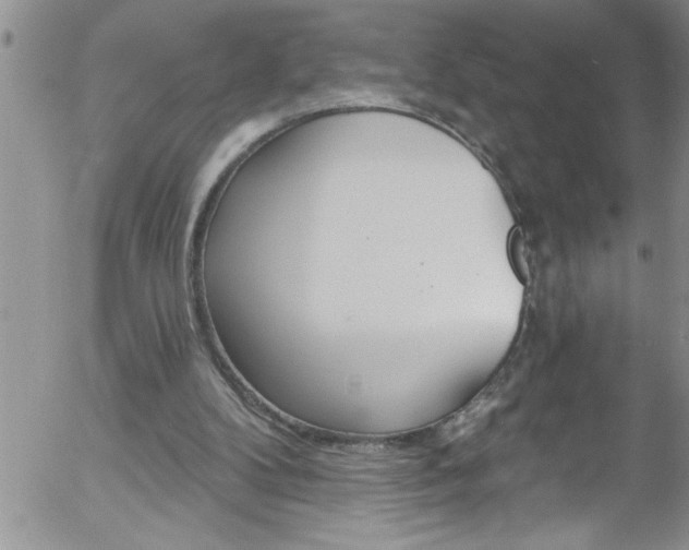 X0000058140104200509261322