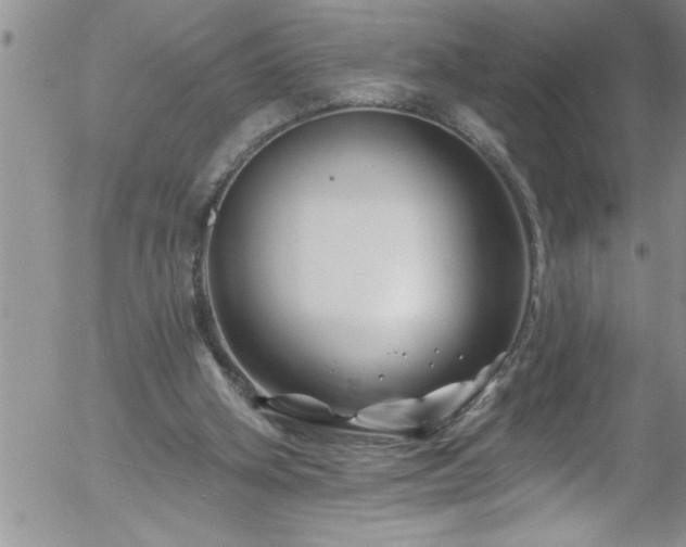 X0000058140106200509261322